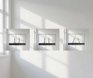 Стойка за саундбар за телевизор Stell SHO 5050